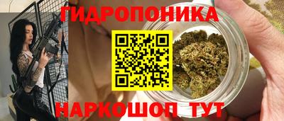 шишки Свободный